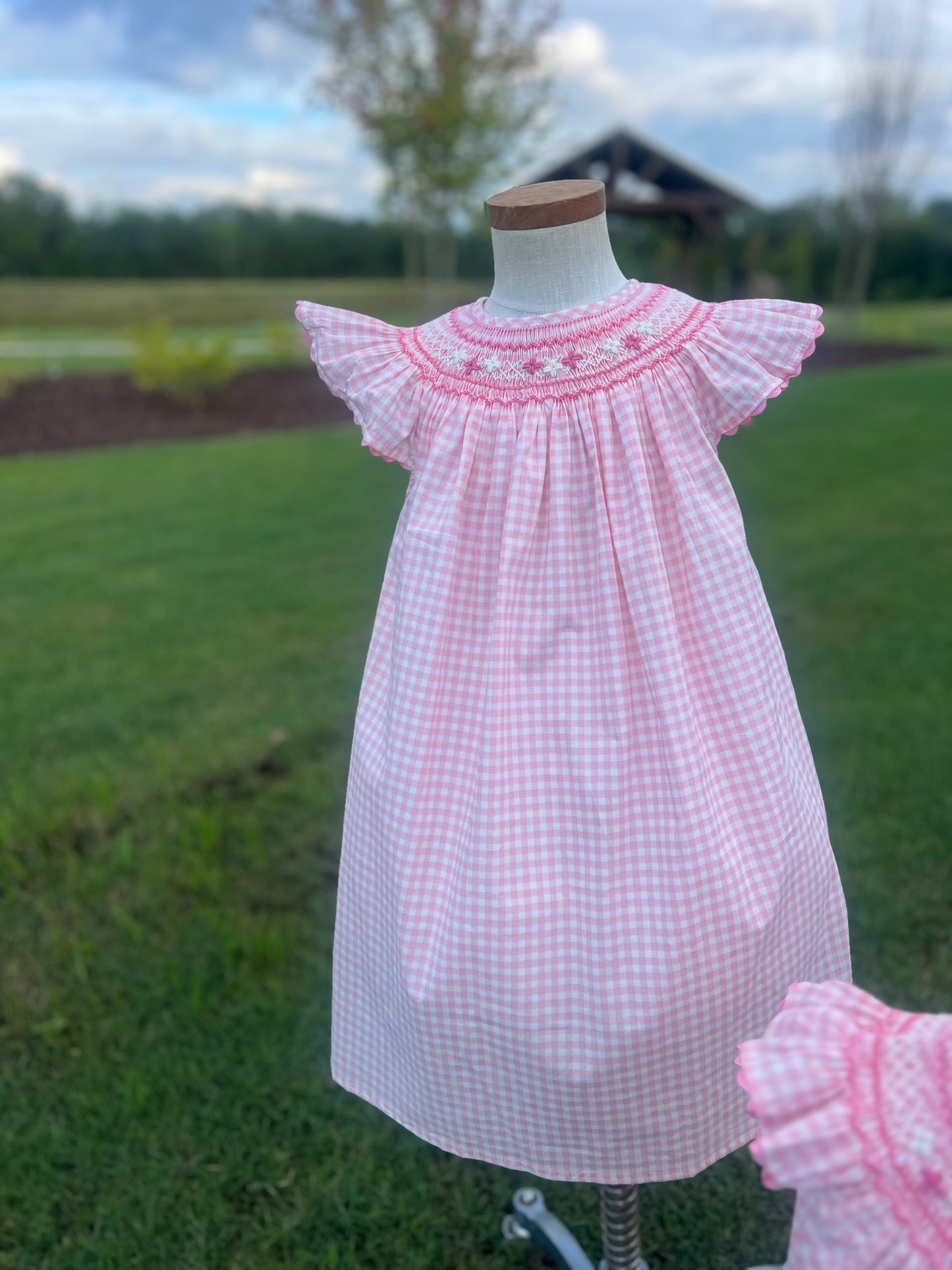 Bubblegum gingham Smocked Dress
