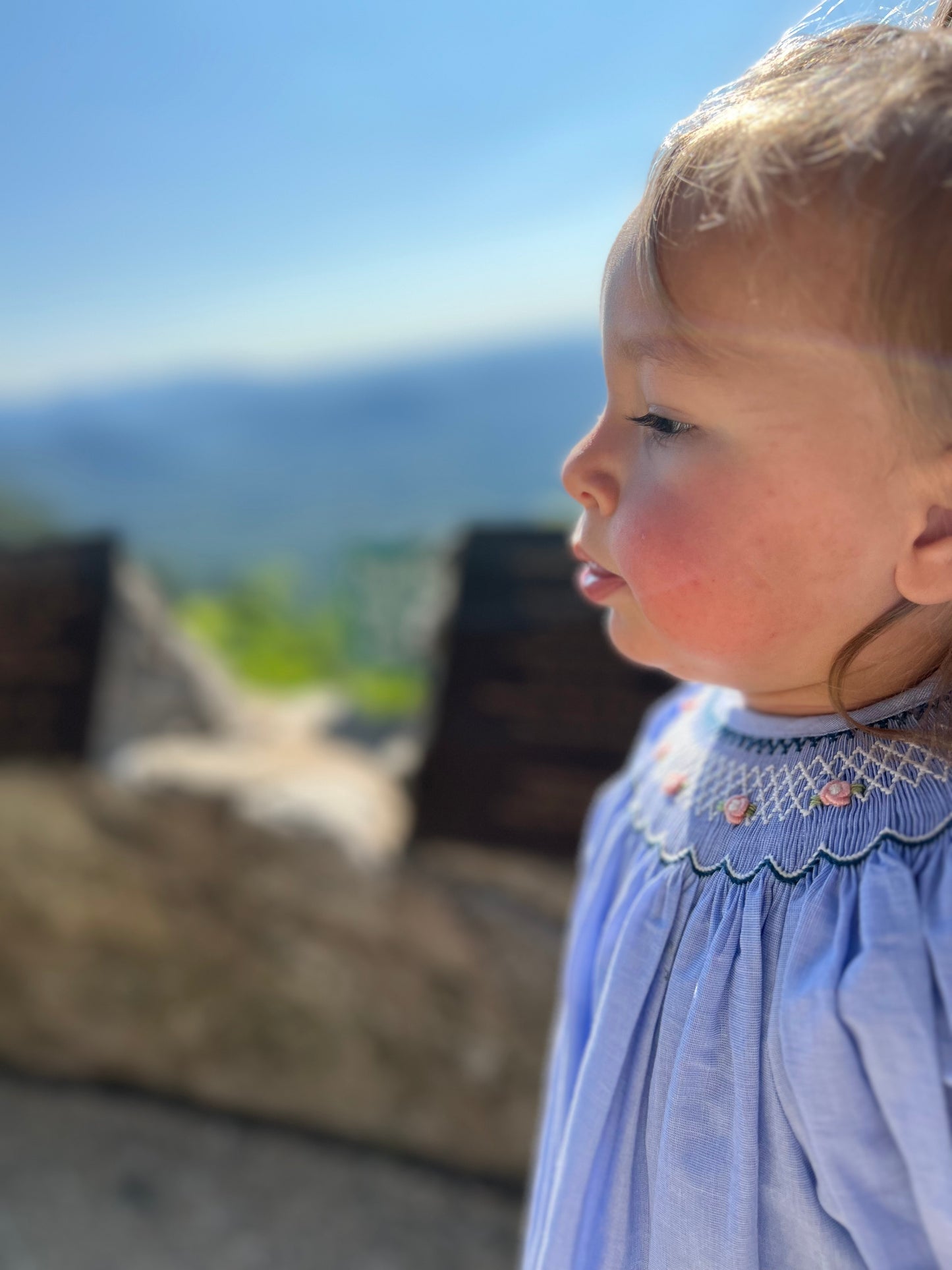 Blue Smocked dress
