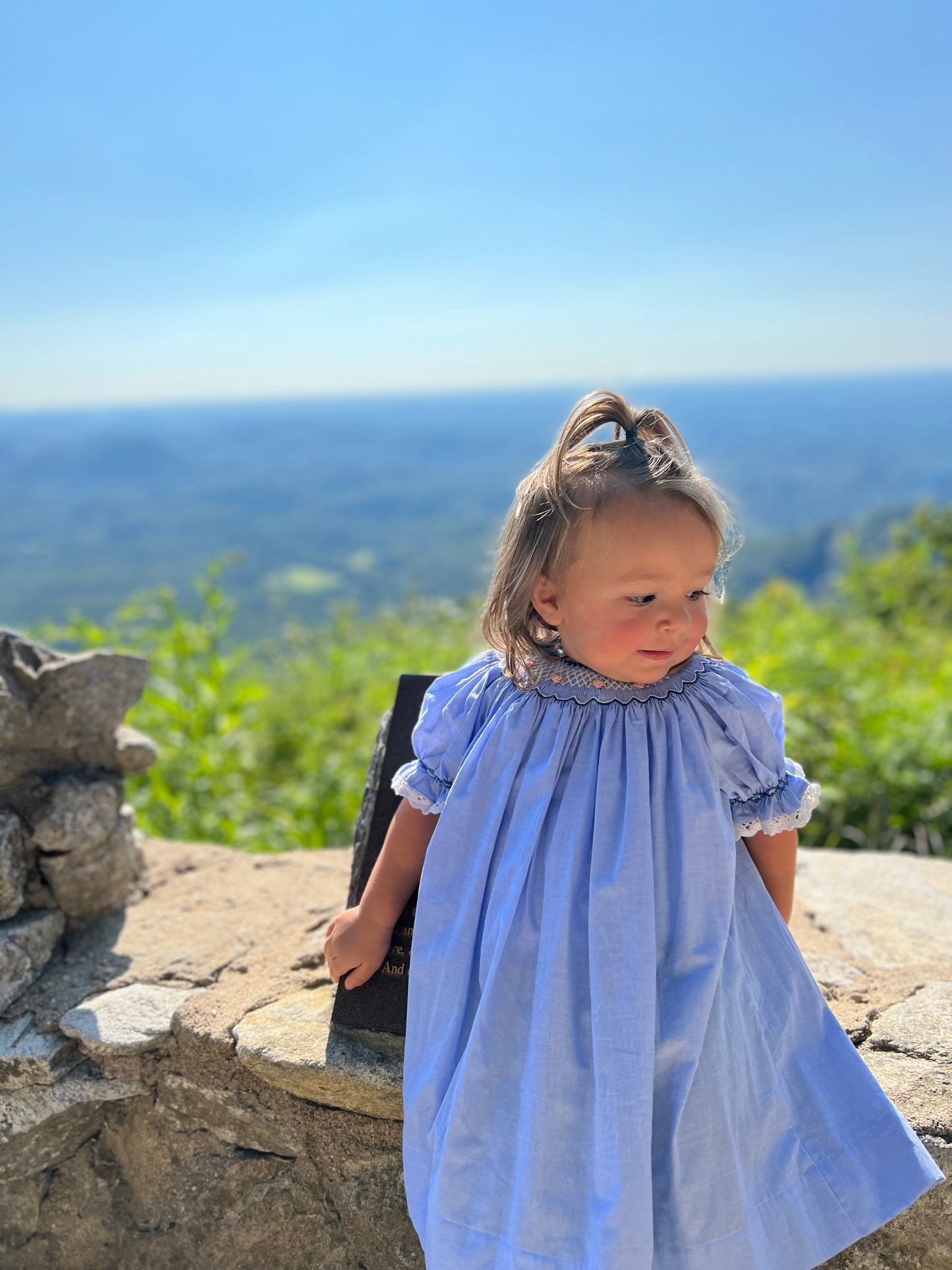 Blue Smocked dress