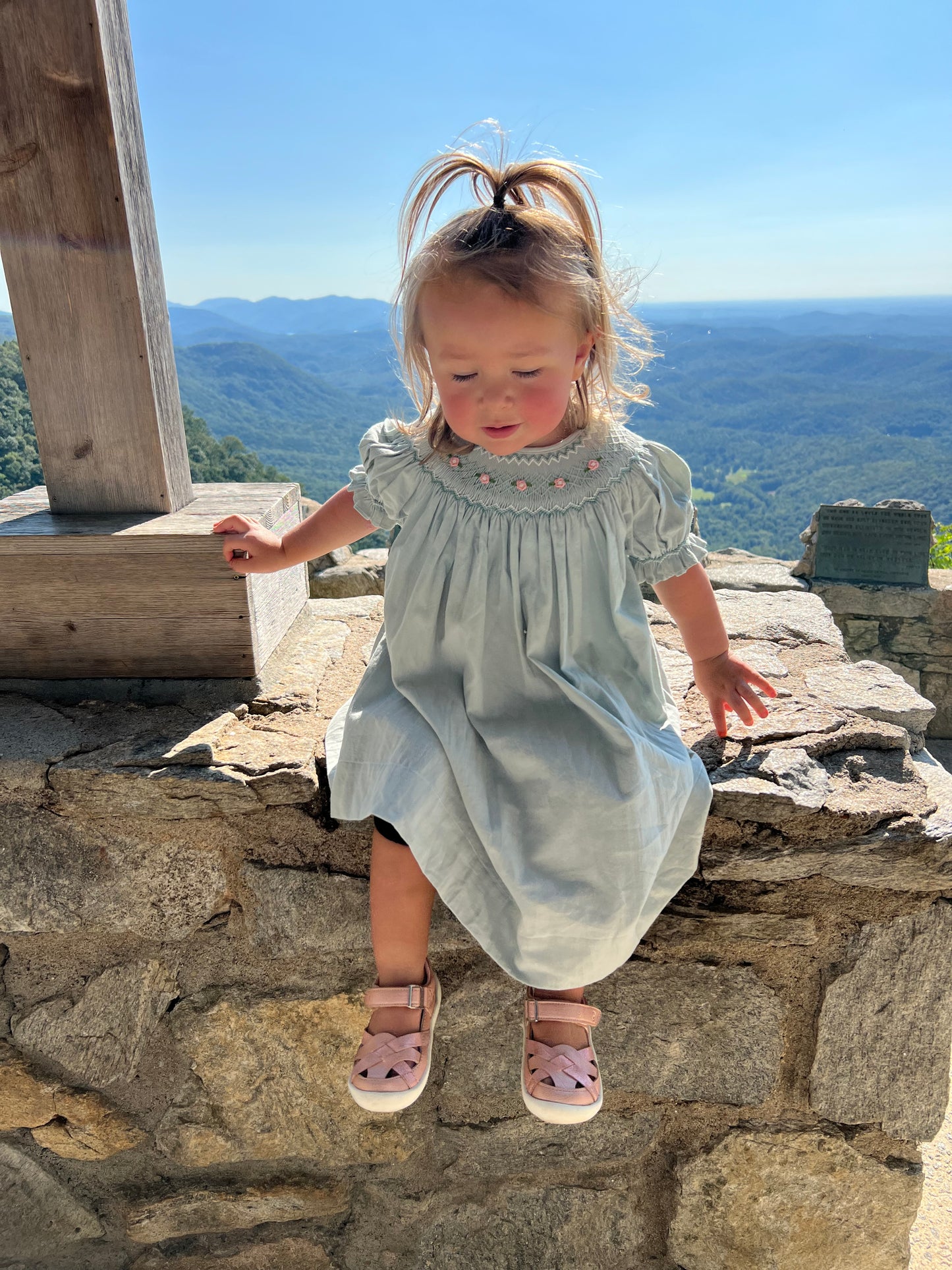 Sage green smocked dress