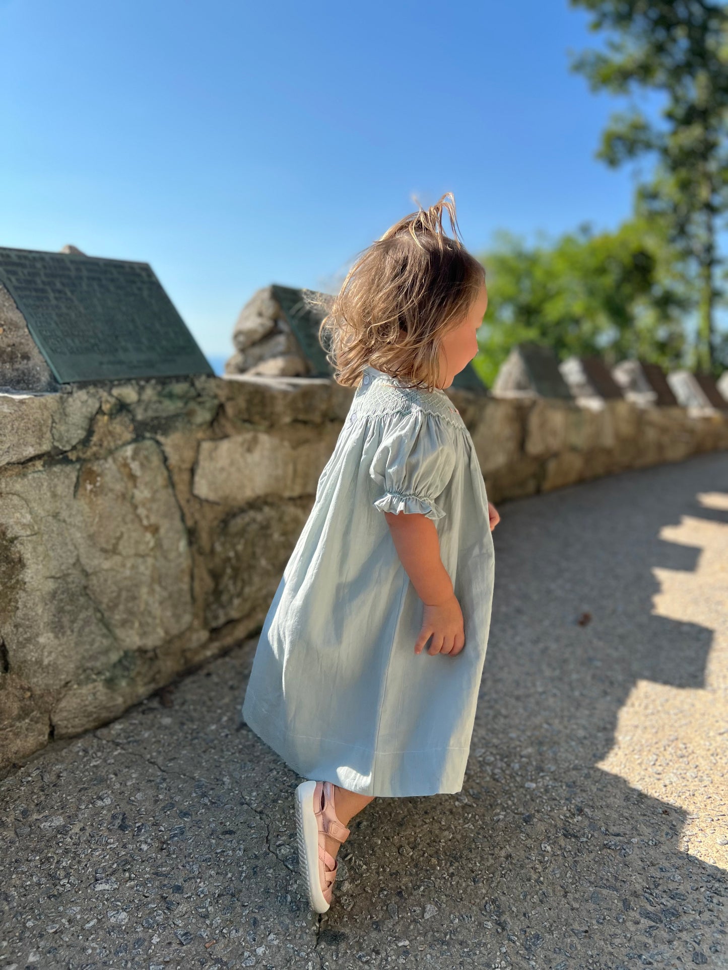 Sage green smocked dress